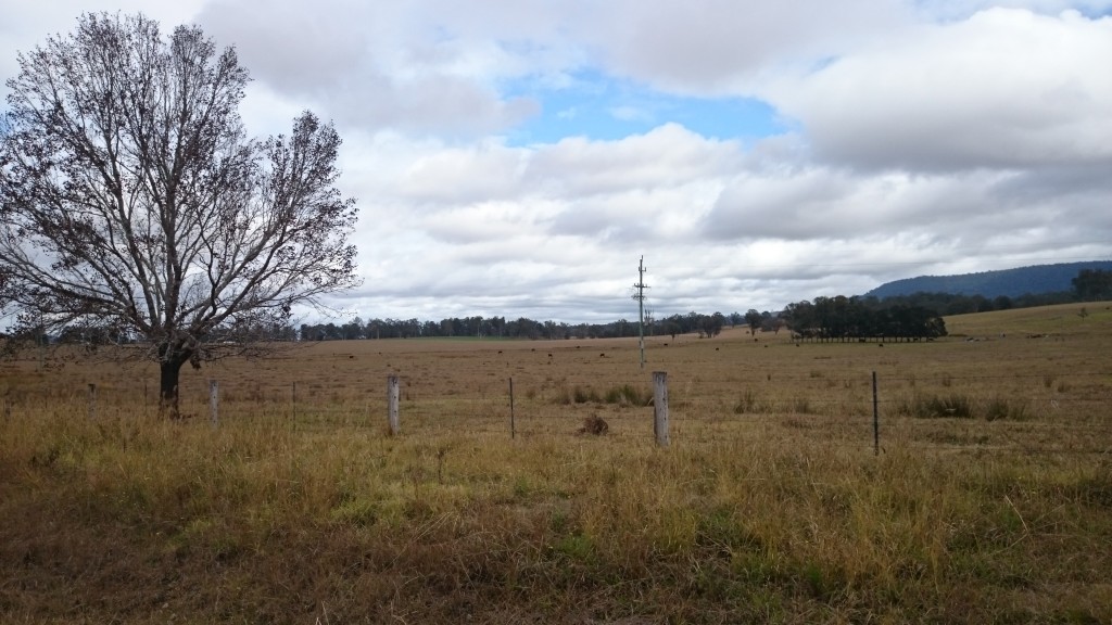 Far North Queensland BReview (14)