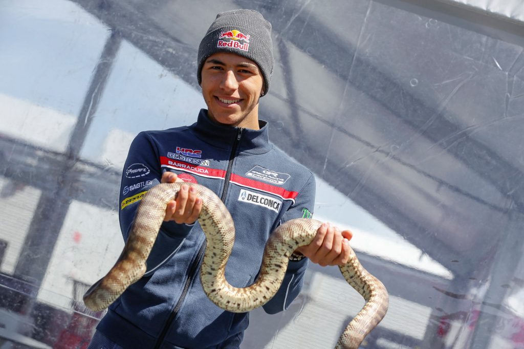 Enea Bastianini (ITA) was brave to hold a black-headed python