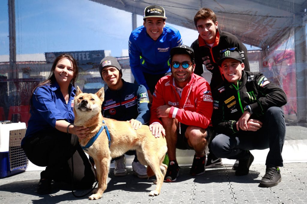 MotoGP and Moto3 riders with an Australian Dingo