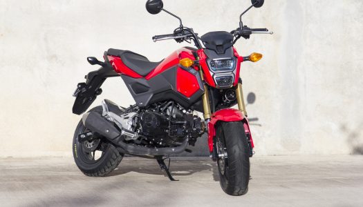 New Product: Pirelli Diablo Scooter Tyre for Honda Grom