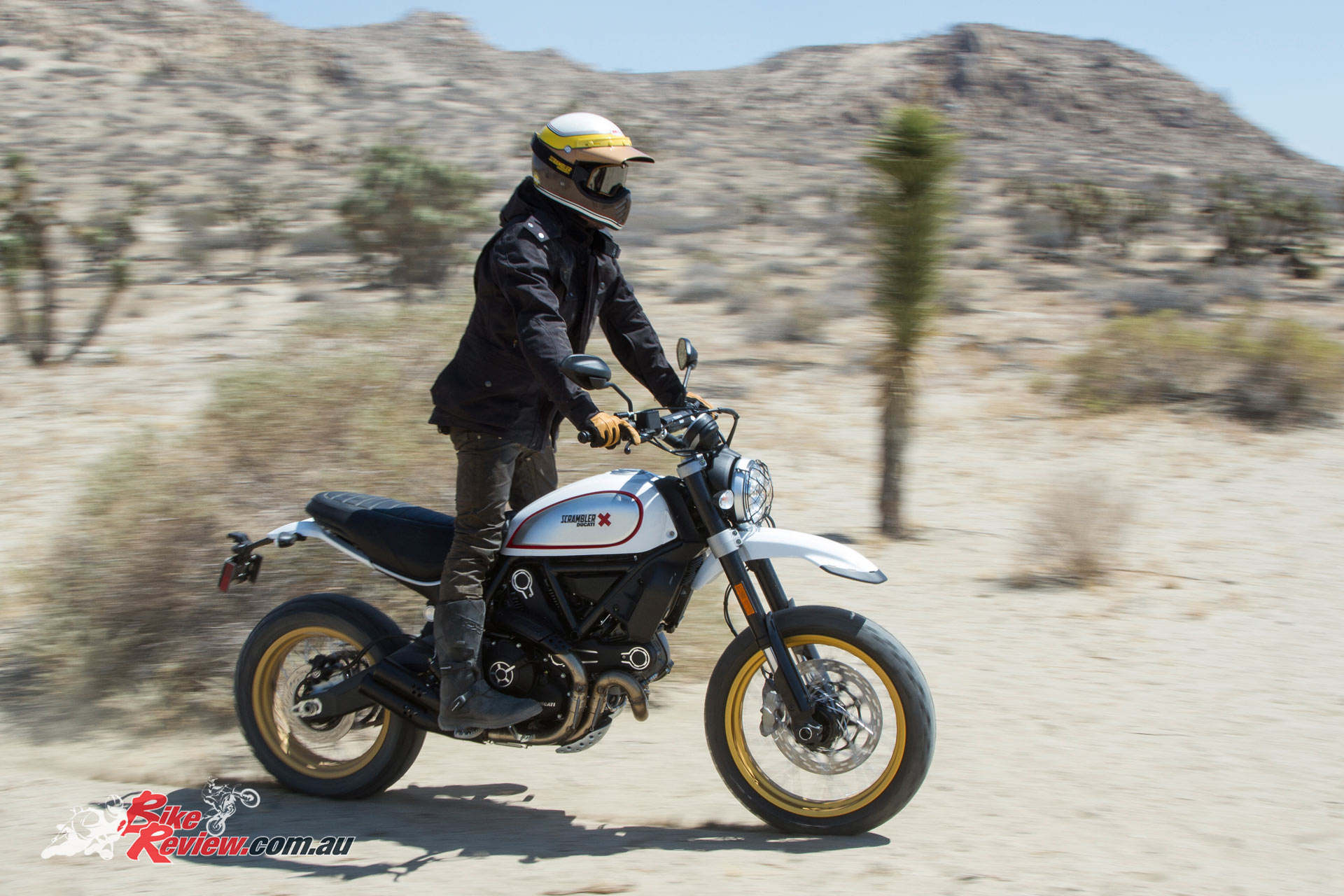 2017 ducati desert sled