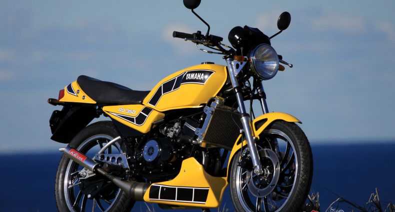 The end result is a breathtaking offering in the Kenny Roberts colours.