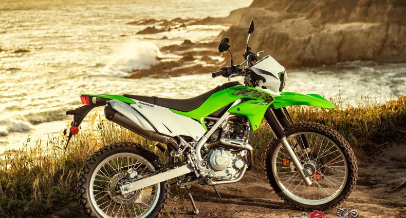 2019 Kawasaki KLX230