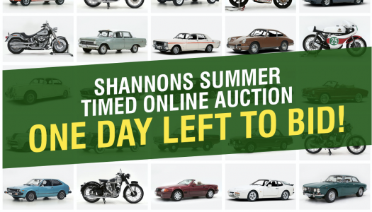 Last Day To Bid! Shannons Summer Timed Online Auction… Ends 7pm!