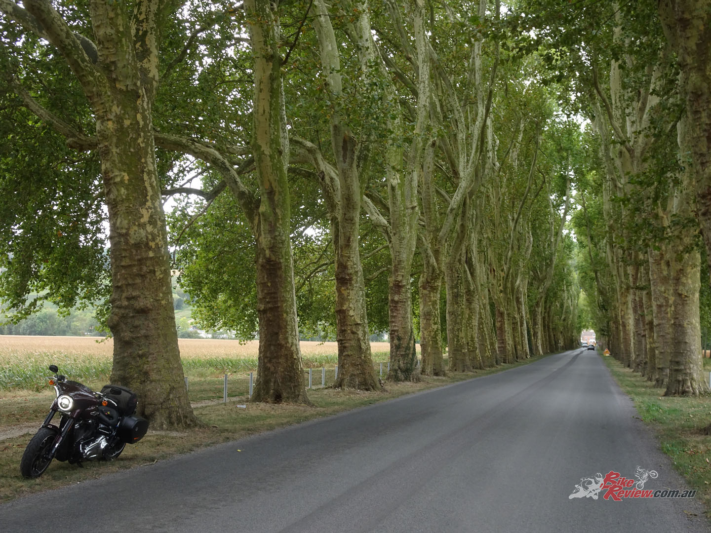 The tree-lines roads of northern France make for cool riding even in the heat of summer.