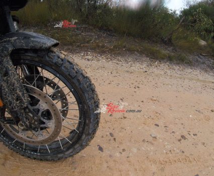 The Michelin Anakee Wild adventure tyres are great off road.