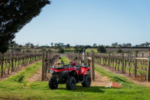 Want a cheap workhorse with plenty of value? There's nothing that contends with the CFORCE range for the price you pay...