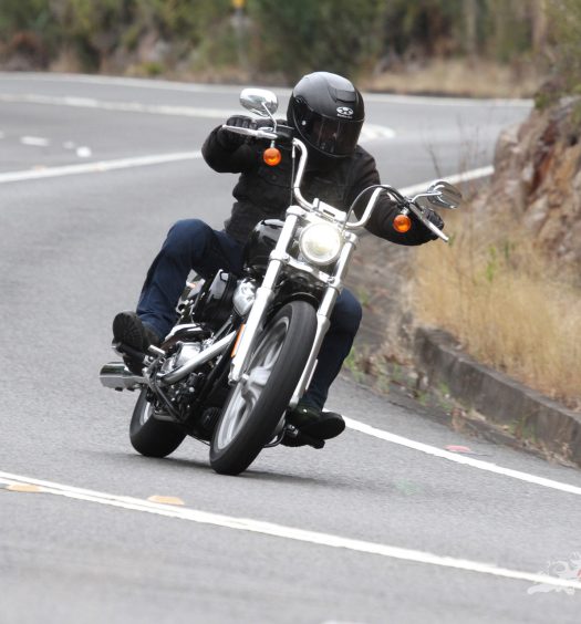 No need to fang the lights out of the Softail Standard. Just enjoy a smooth and slow ride through the twisties.