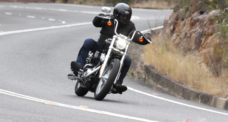 No need to fang the lights out of the Softail Standard. Just enjoy a smooth and slow ride through the twisties.
