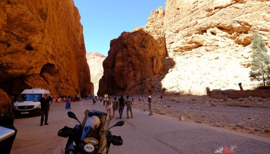 Bear Tracks: IMTBIKE Morocco Tour