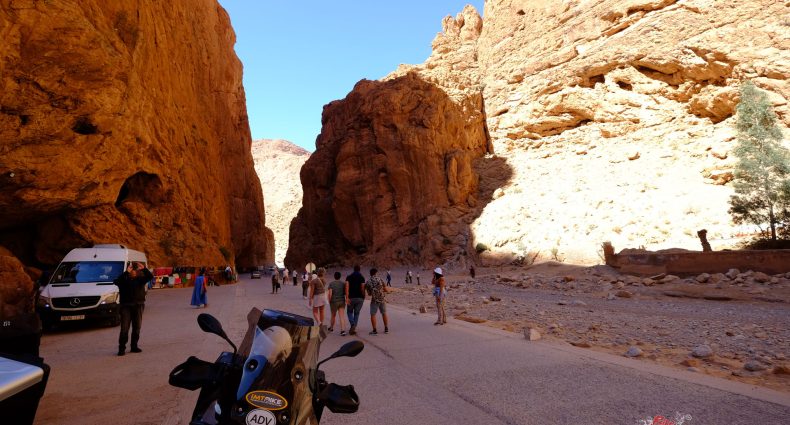 Inside the Todra Gorge. This is such a once in a lifetime experience you can't miss!