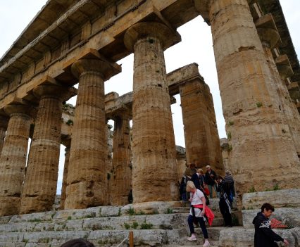 The Greeks built a lot of temples in Sicily, and many survive.