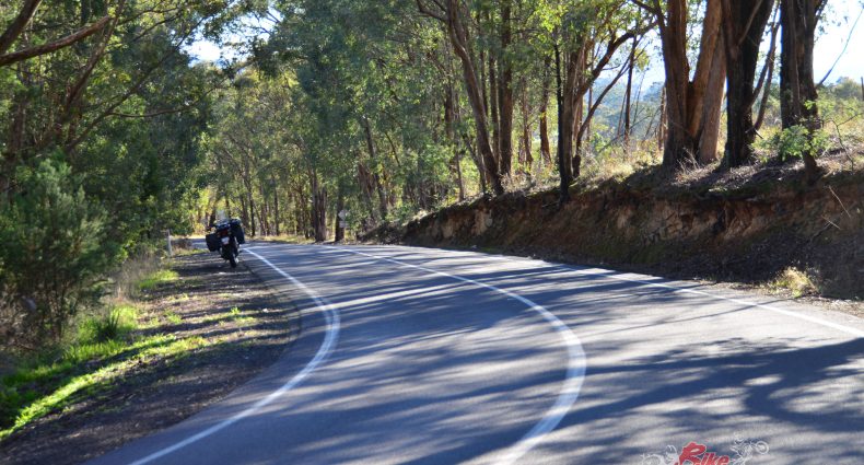 The roads around Chiltern are good, like this one down from Beechworth.