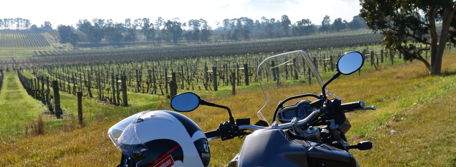 There are many wineries along this route; how much room do you have in your panniers?