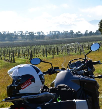 There are many wineries along this route; how much room do you have in your panniers?