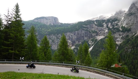 BEAR TRACKS | Touring Centre Dolomites, by Edelweiss Bike Travel