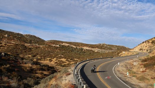 Bear Tracks | Motorcycle Travel 2025 and 2026