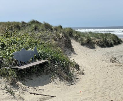 One of the many stunning beaches in the area...