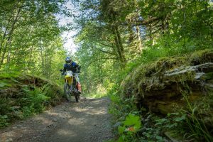 Enough punch to get you over most terrain and a selection of ride modes to choose from really update the bike.
