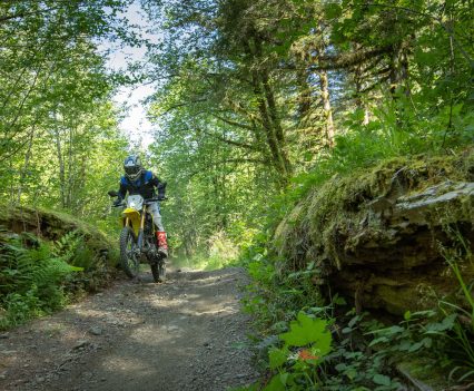 Enough punch to get you over most terrain and a selection of ride modes to choose from really update the bike.