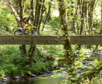 Great ergonomics for stand up trail riding, taller riders may want bar risers.