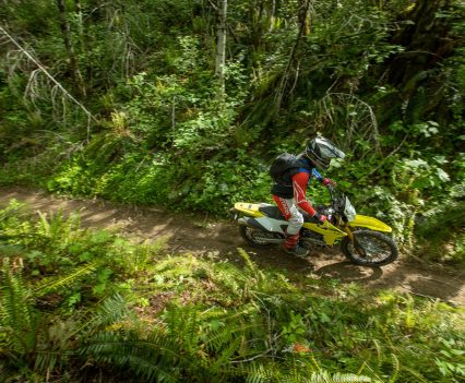 Great ergonomics for stand up trail riding, taller riders may want bar risers.