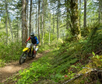 The DR-Z4S slim design is great for fun single track riding.