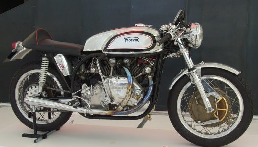 Bear Tracks | Going MAD in Milan