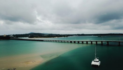 Bear Tracks | Forster-Tuncurry, NSW