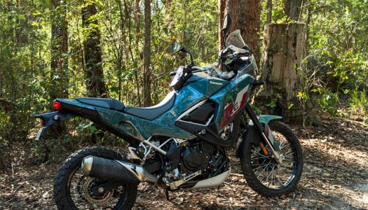 July Bear Tracks | Half-litre winner to Wombeyan Caves