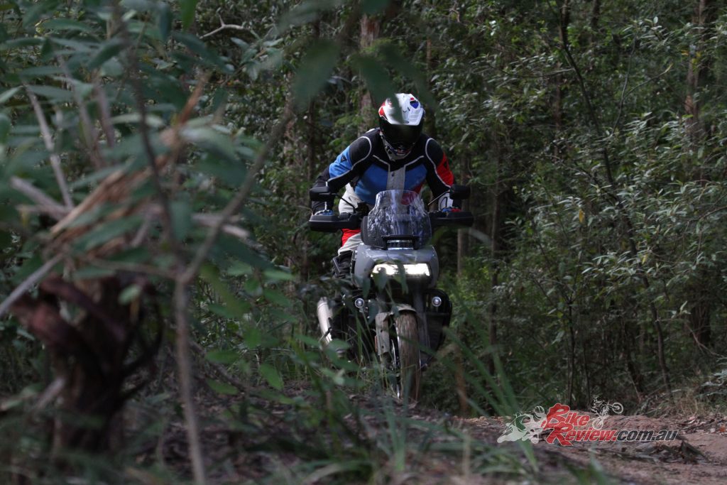 The Pan America proved capable well beyond formed gravel roads, tackling tight forest trails with confidence.