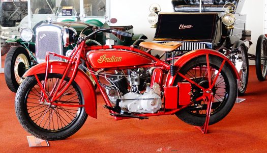 Bear Tracks | McFeeters Motor Museum, Forbes