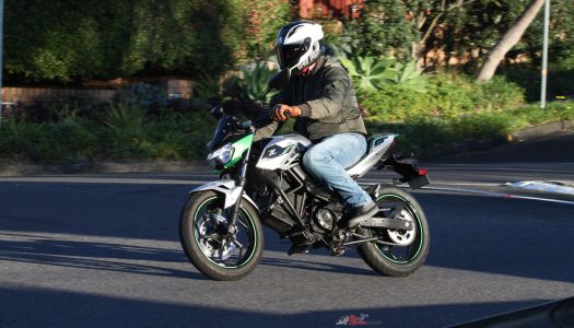 Bear Tracks | Kawasaki Z e-1, spark of the future
