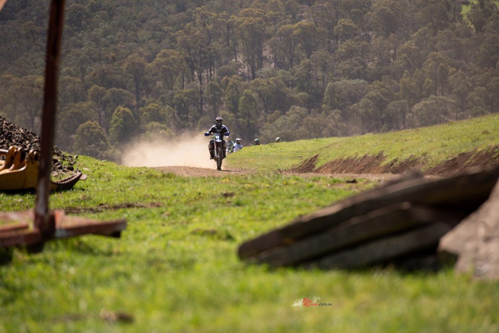 The open trails provided a chance to stretch the Shercos’ legs.